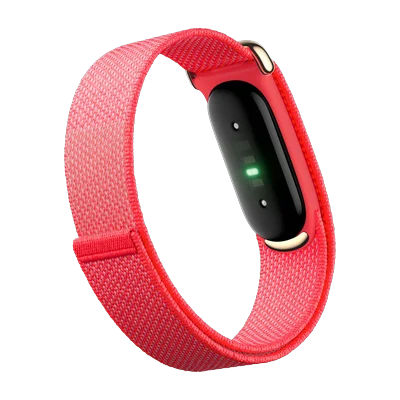 Google Fitbit Air · Розовый